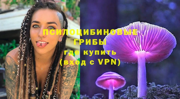 сатива Алексеевка