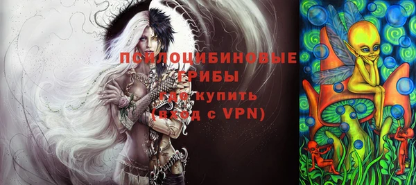 сатива Алексеевка