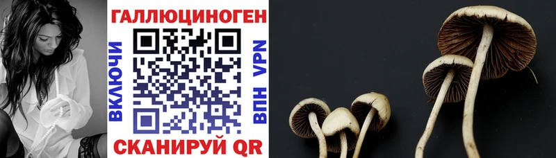 Псилоцибиновые грибы мухоморы  Самара 
